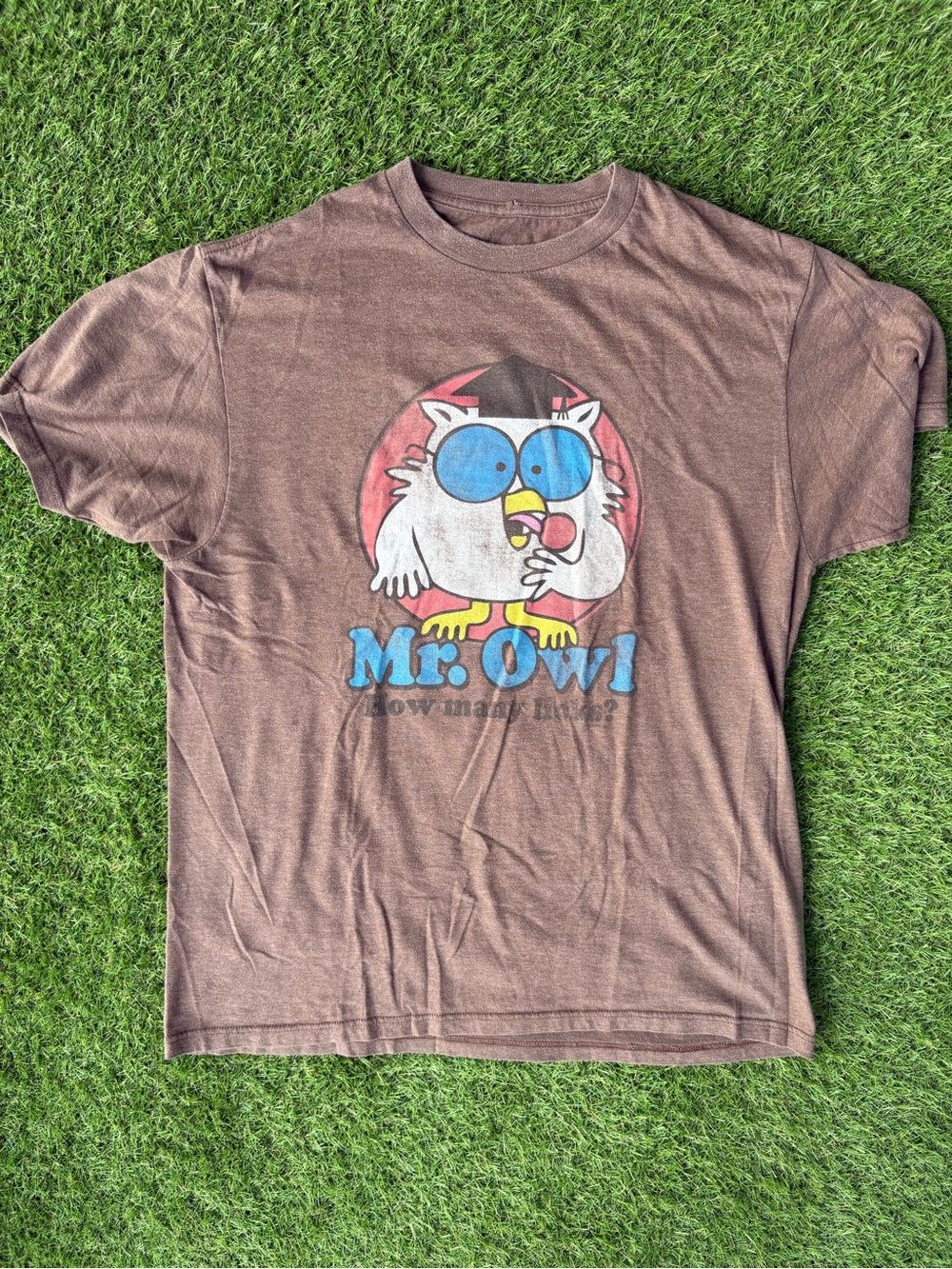 Mr. Owl Graphic Brown Men's T-Shirt